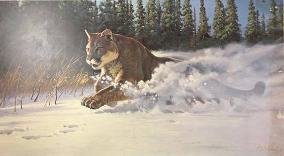 Guy Coheleach "Mountain Rush" Limited Edition, Signed: Description: "Mountain Rush," limited edition, signed lithograph by widely exhibited American wildlife artist Guy Coheleach. Printed on high quality, acid free stock. Unframed; with COA. Material: