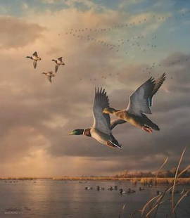 James Hautman, Sundown at Delta Marsh--Mallards Limited: Description: Limited edition, fine art print, Sundown at Delta Marsh by Jim Hautman. Double signed, once in plate and once by hand and numbered by artist, unframed. Material: paper. Measurement: