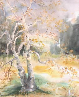 Martha Duke Watercolor: Description: Signed watercolor depicting birch trees in late autumn by artist Martha Duke. Lovely soft color palette highlights the tree in the foreground and a forest, faintly obscured by fog in the