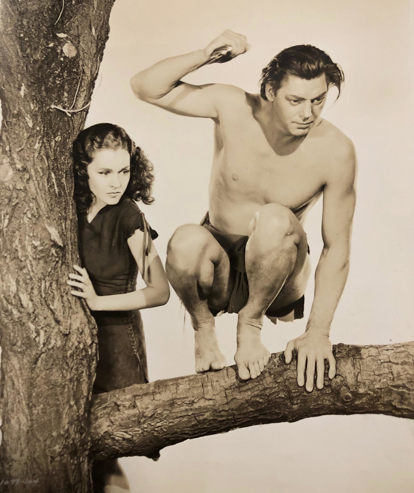 Tarzan & Jane 8 x 10 Hollywood Movie Still: Description: Tarzan 8 x 10 Hollywood Movie Still - 1077-104 - Shipping $12, different rate to Alaska, California, Hawaii & all International.