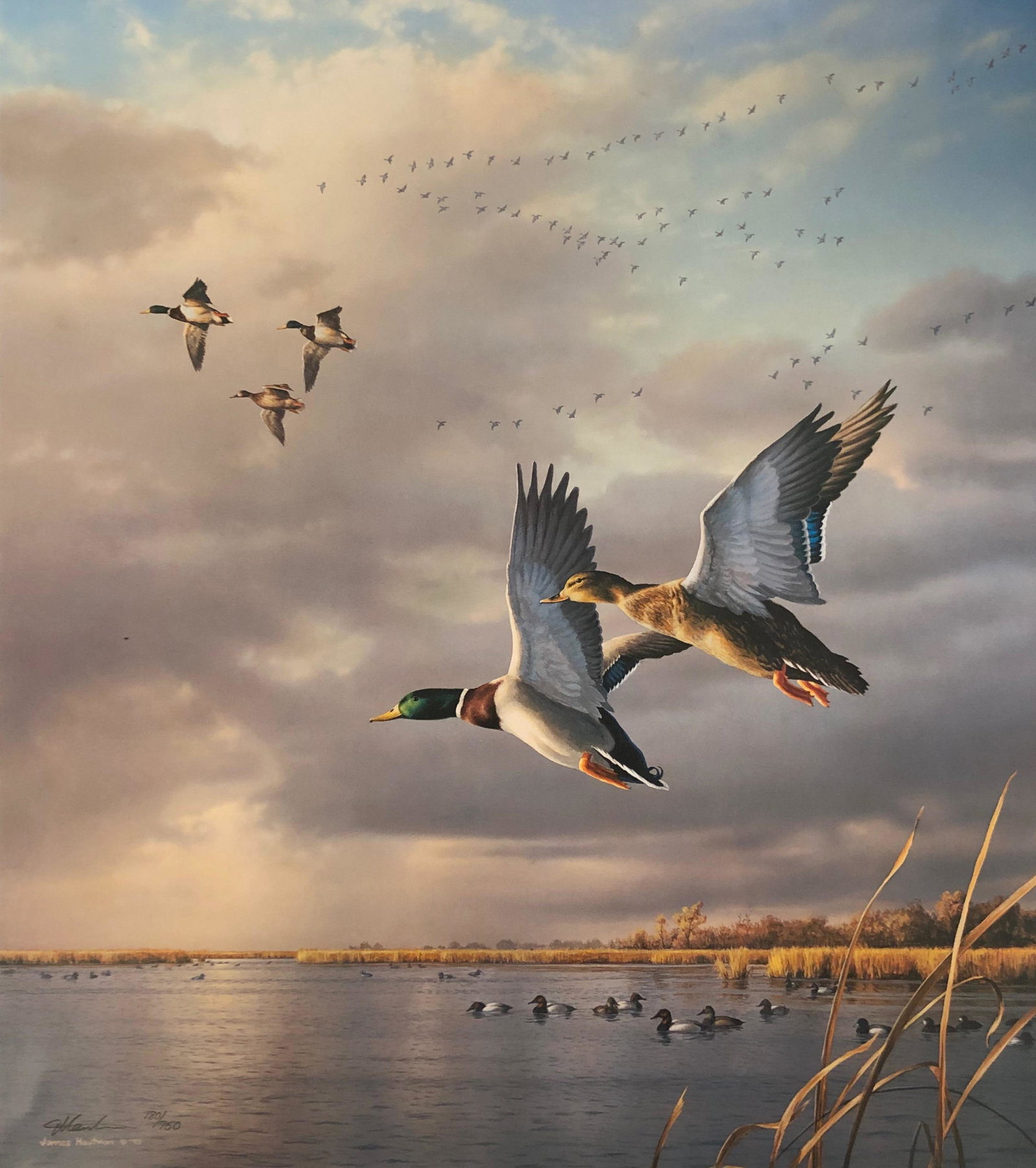 James Hautmann Limited Edition Lithograph COA (1 of 6)