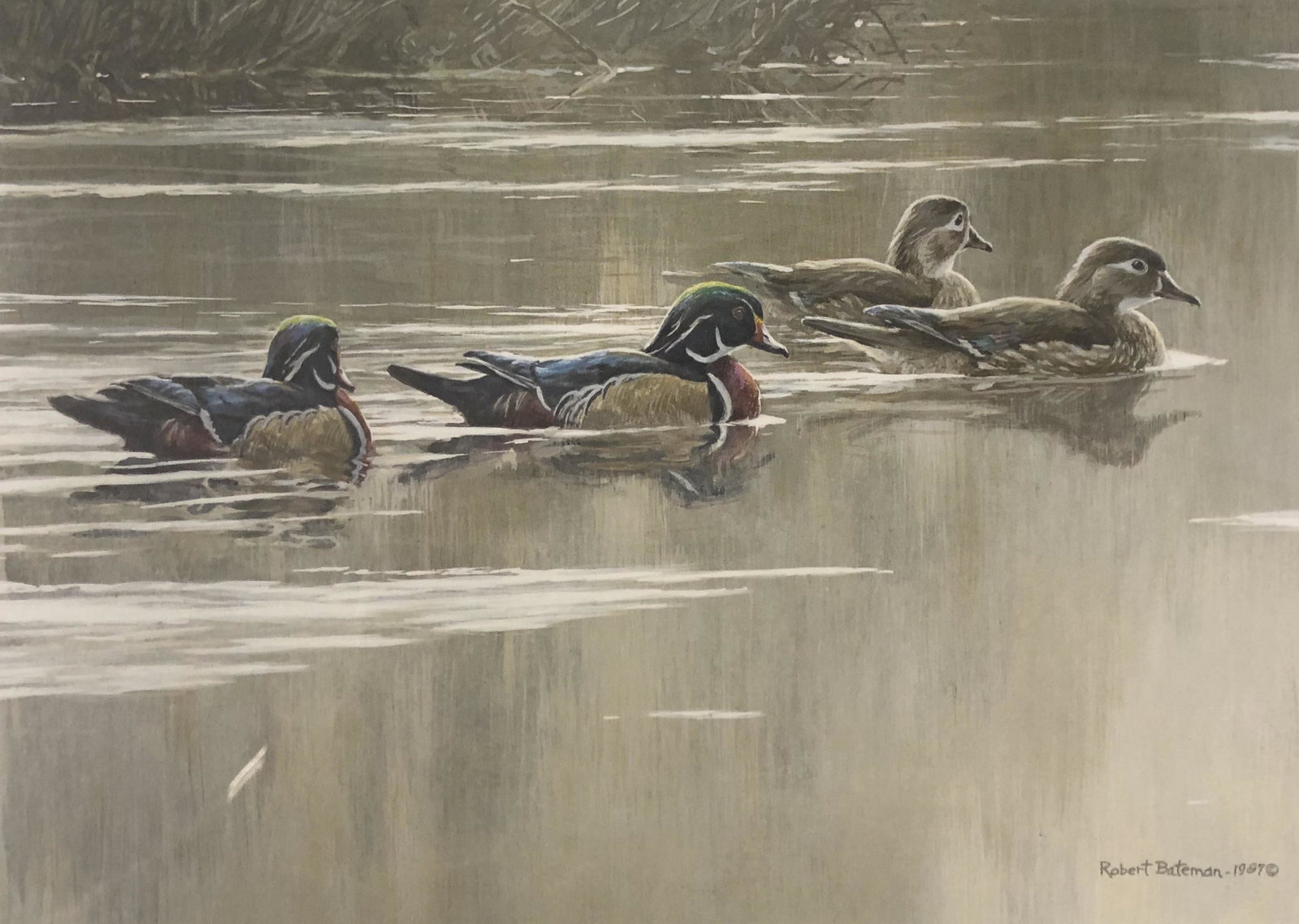 Signed , Robert Bateman Hurricane Lake Wood Ducks: Description: signed numbered lithograph 319 / 600, Robert Bateman 1987 ; Shipping cost: $20. Different rate to California, Alaska & Hawaii applies. 17" x 16" approx. measurements. Shipping cost: $35. 