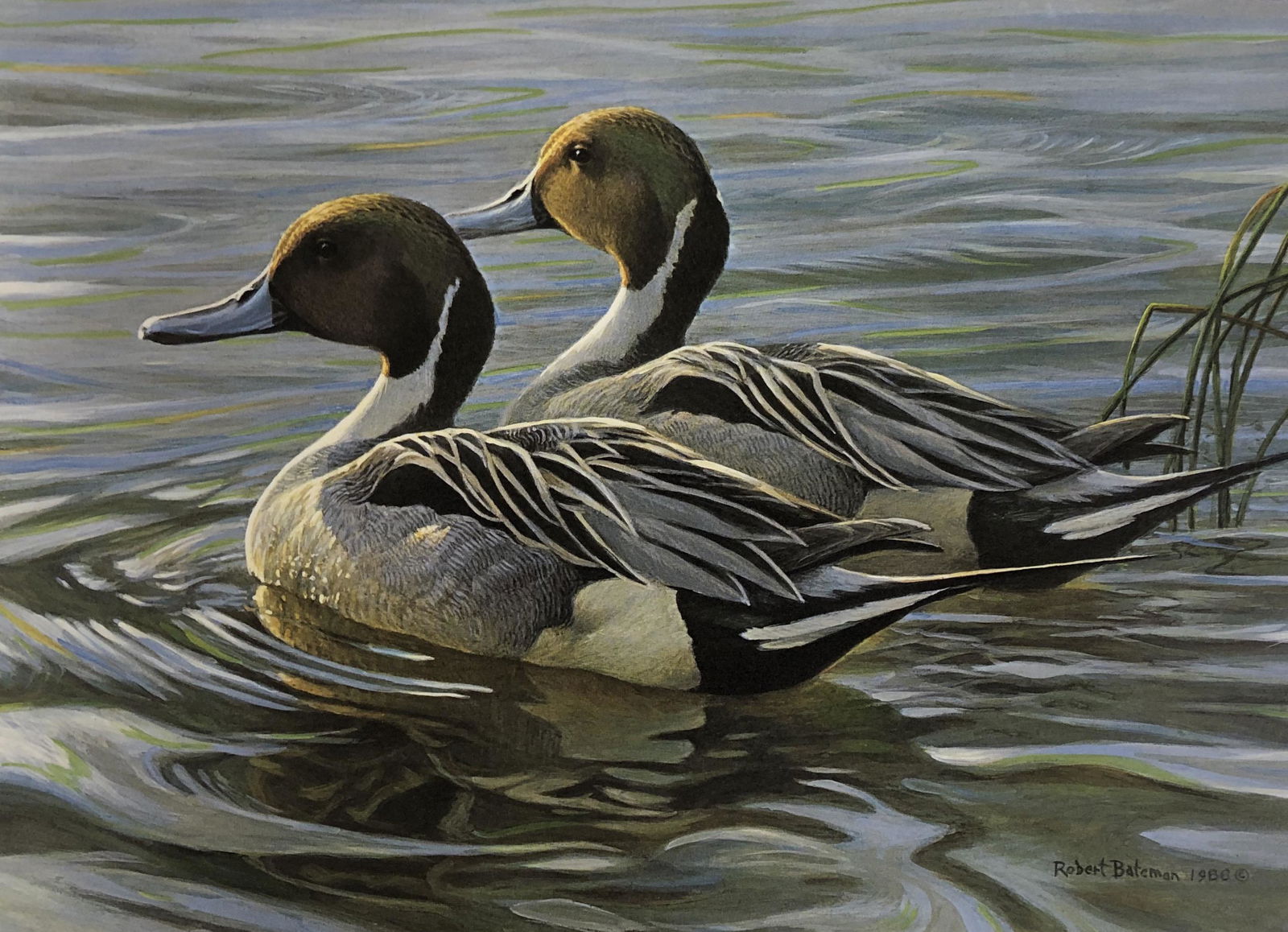 Signed Litho Bateman, Robert - Pintails in Spring -: Description: Medallion Edition 1988 Canada Conserving Wildlife Habitat numbered signed print 194 of 1626 artist Robert Bateman Gold Leaf stamp 14 in x 12 in signed print lithograph on paper includes i