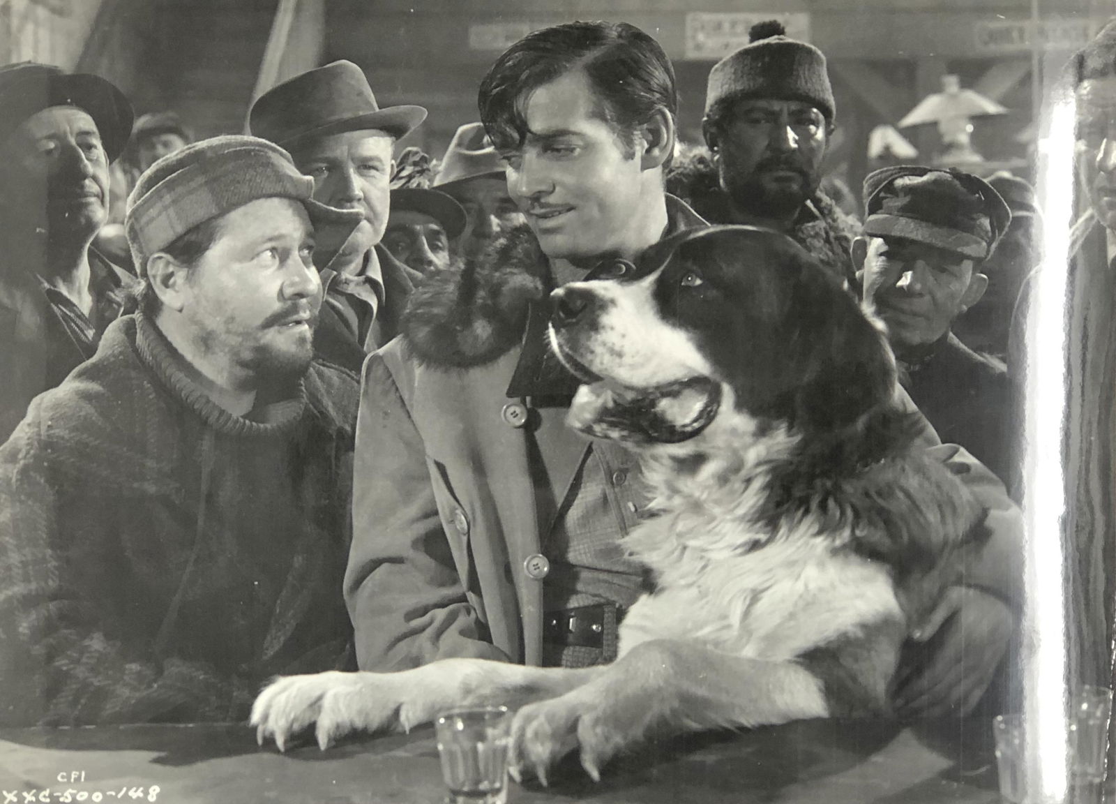 CALL OF THE WILD / CLARK GABLE LORETTA YOUNG #4: CALL OF THE WILD / CLARK GABLE LORETTA YOUNG #4;Approximate measurements: 8 X 10 inches; Material: paper; Shipping cost: $7. Different rate to California, Alaska, Hawaii and all international apply. N