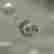 item-101686493=4