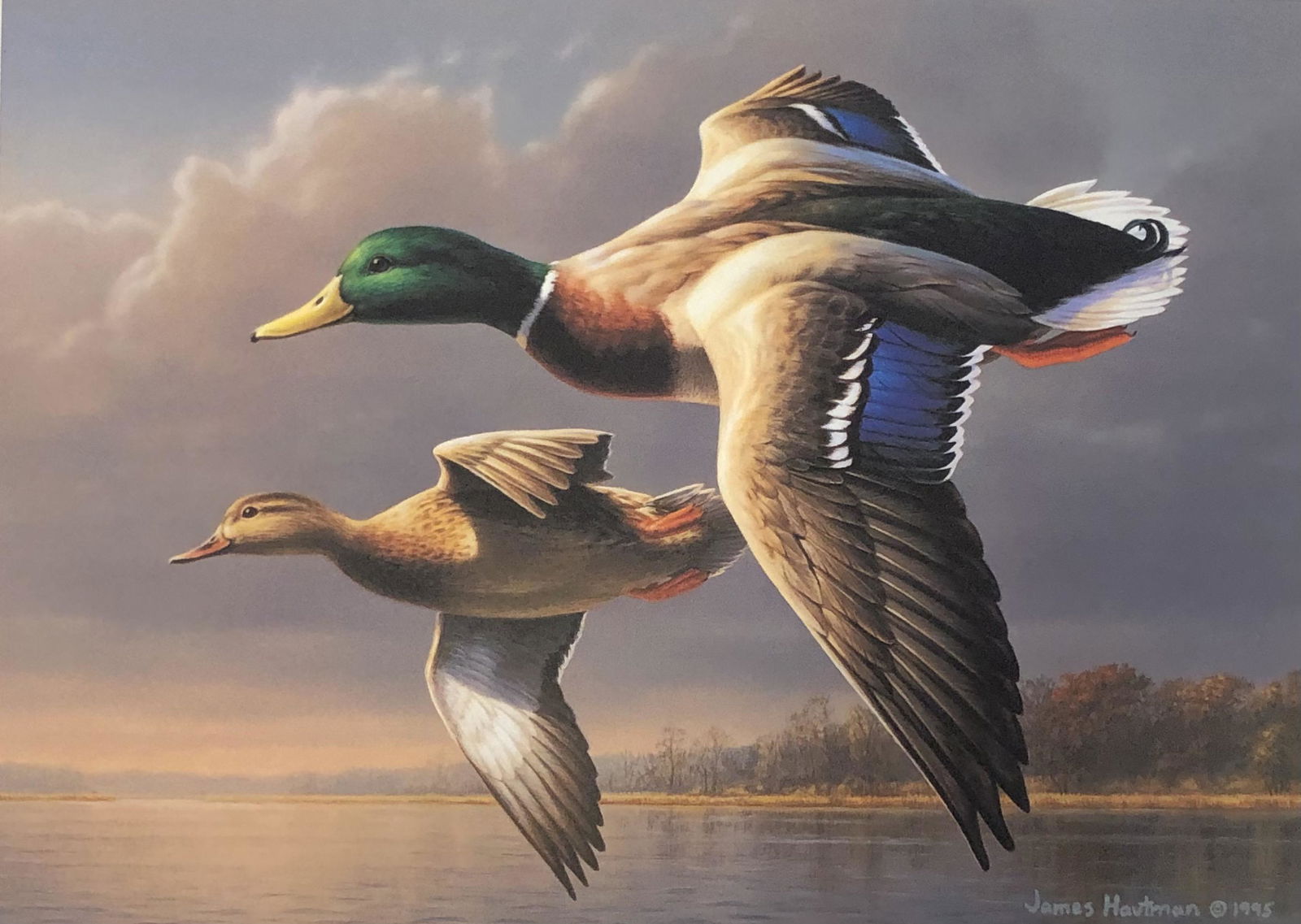 JAMES HAUTMAN 1995-1996 Federal Duck Stamp - MALLARDS (1 of 9)