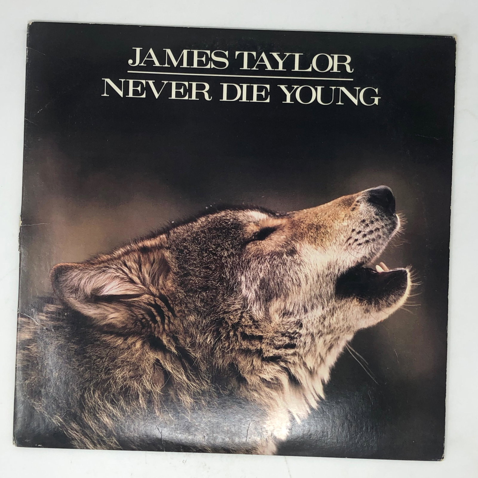 JAMES TAYLOR NEVER DIE YOUNG vinyl LP (1 of 2)