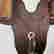 item-112872827=5