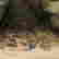 item-112872837=4