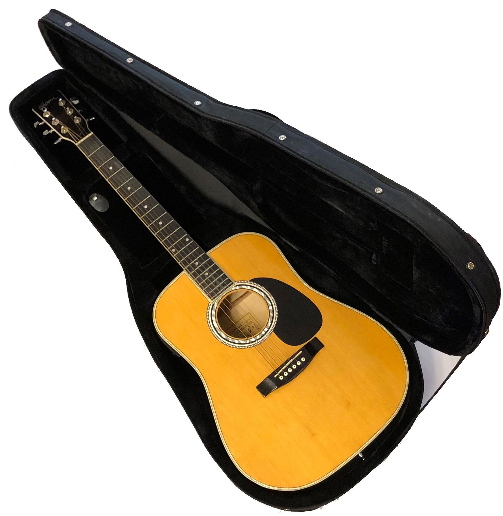 ESTEBAN acoustic electric GUITAR w case books DVD Barnebys