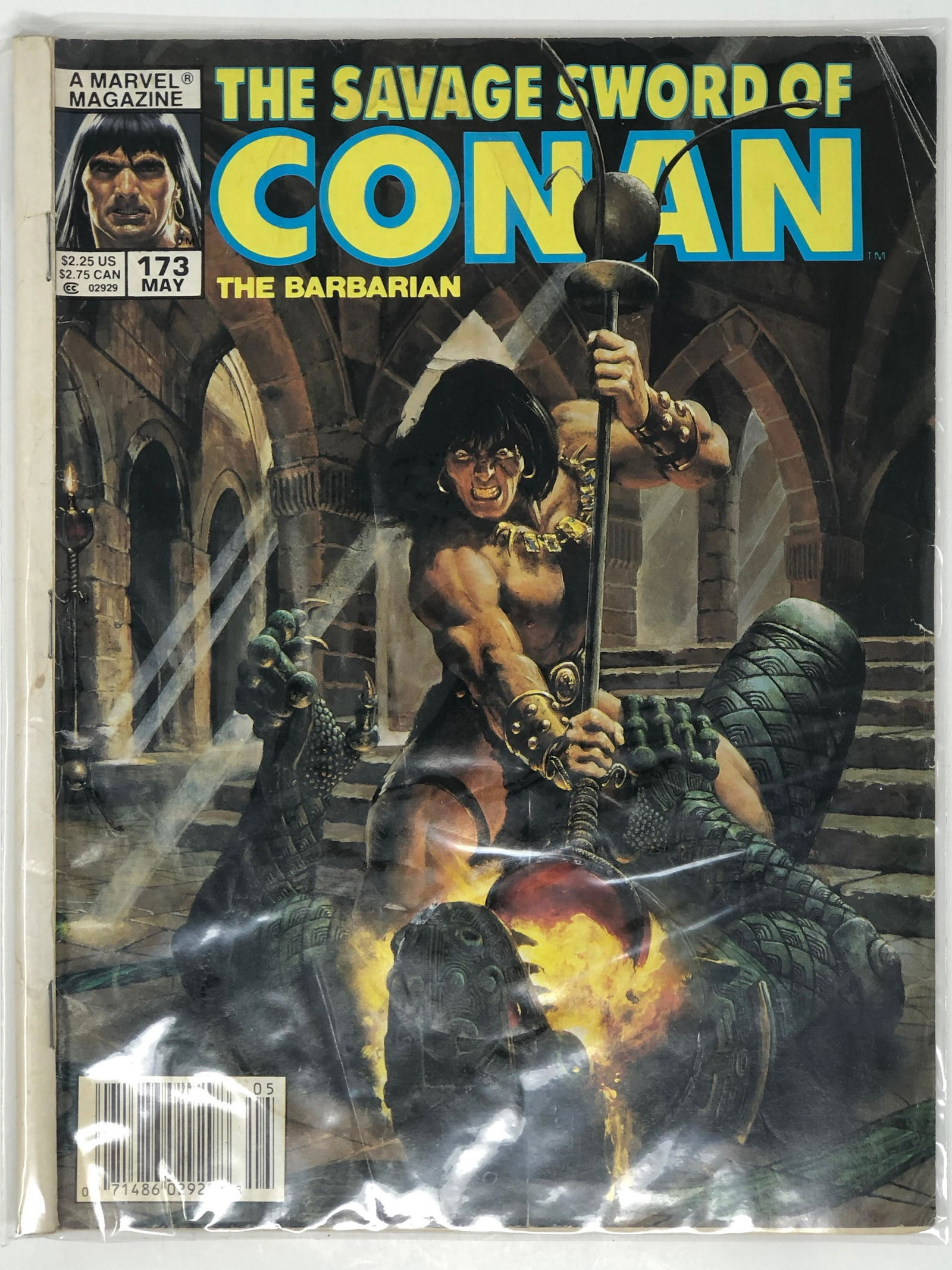 MARVEL, The Savage Sword of CONAN A Marvel Magazine  #173 (1 of 2)
