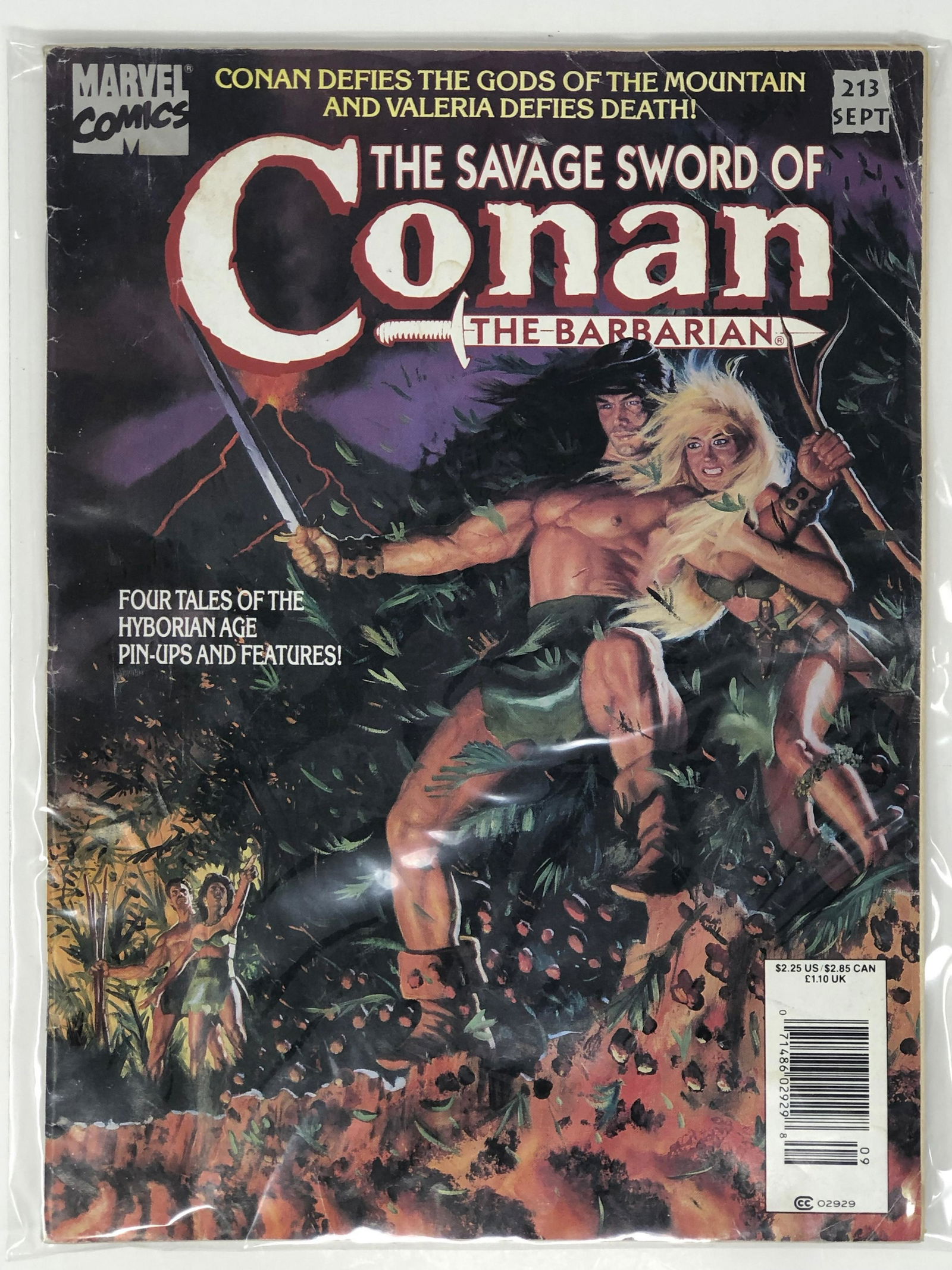 MARVEL, The Savage Sword of CONAN A Marvel Magazine  #213 (1 of 2)