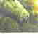 item-131437960=3