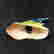 item-131437981=12