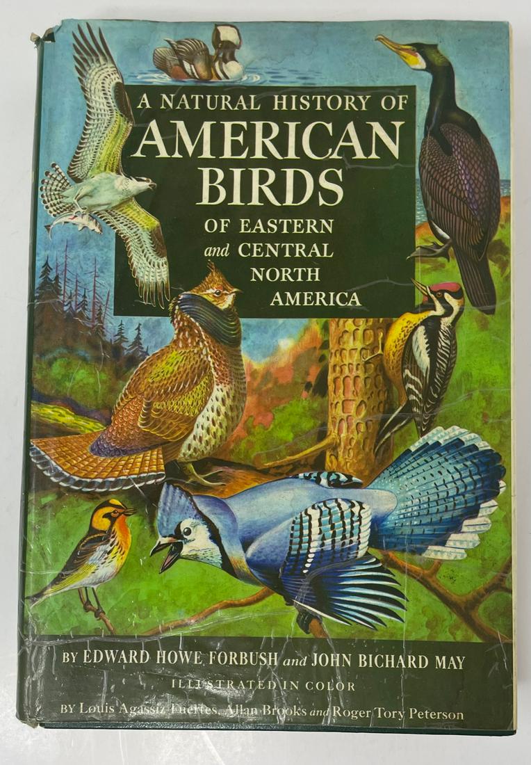 Edward Howe Forbush & John Bichard May, American Birds: Description: Edward Howe Forbush & John Bichard May, American Birds; Material: Paper