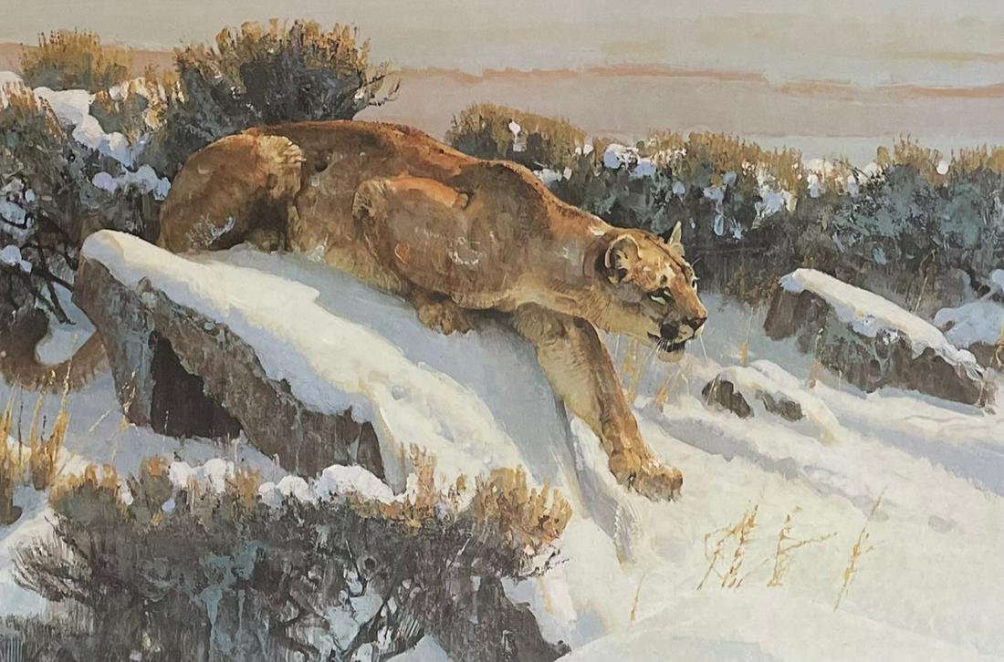 Mountain Lion in Snow , by Bob Kuhn 400 of 750 (1 of 5)