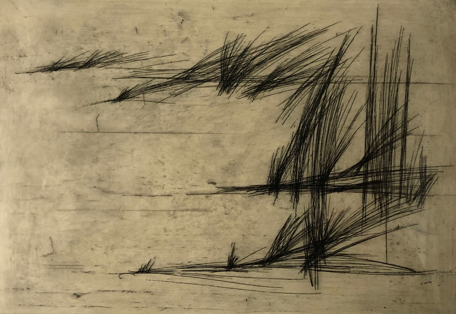 Signed Florence Stickney etching limited edition 7/25 (1 of 6)