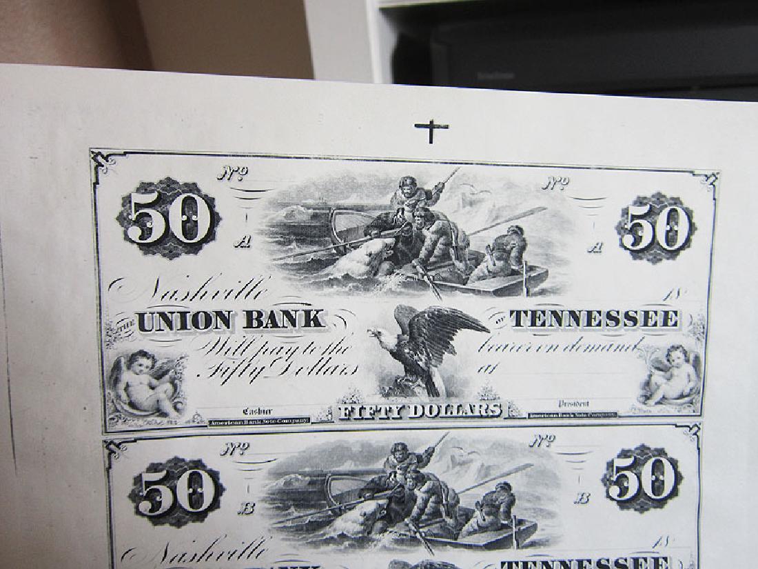 Polar Bear Notes (1 of 2)