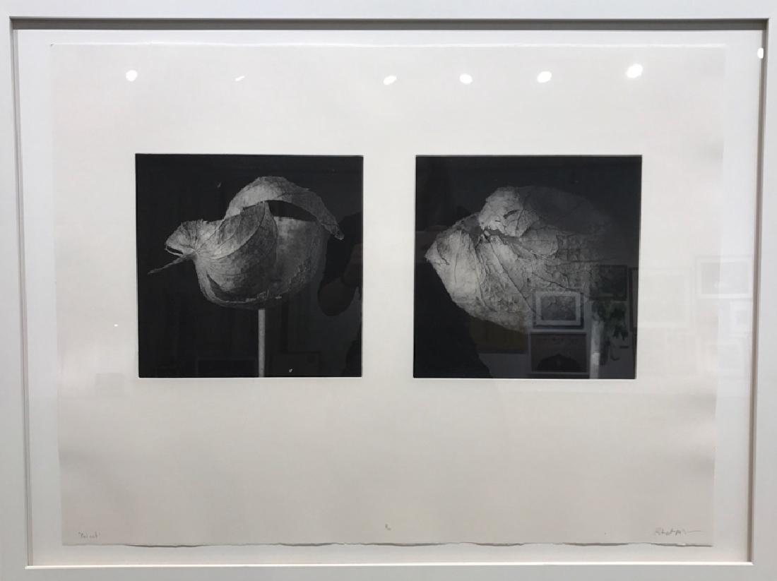 Brown, Robert: CutPod: Robert Brown: 2016, Photogravure, 30" x 22"
