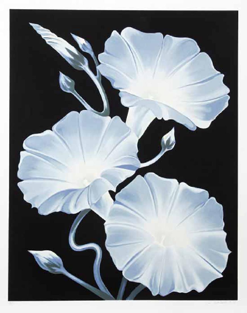 Lowell Nesbitt, American (1933 - 1993) "Morning Glor (1 of 1)