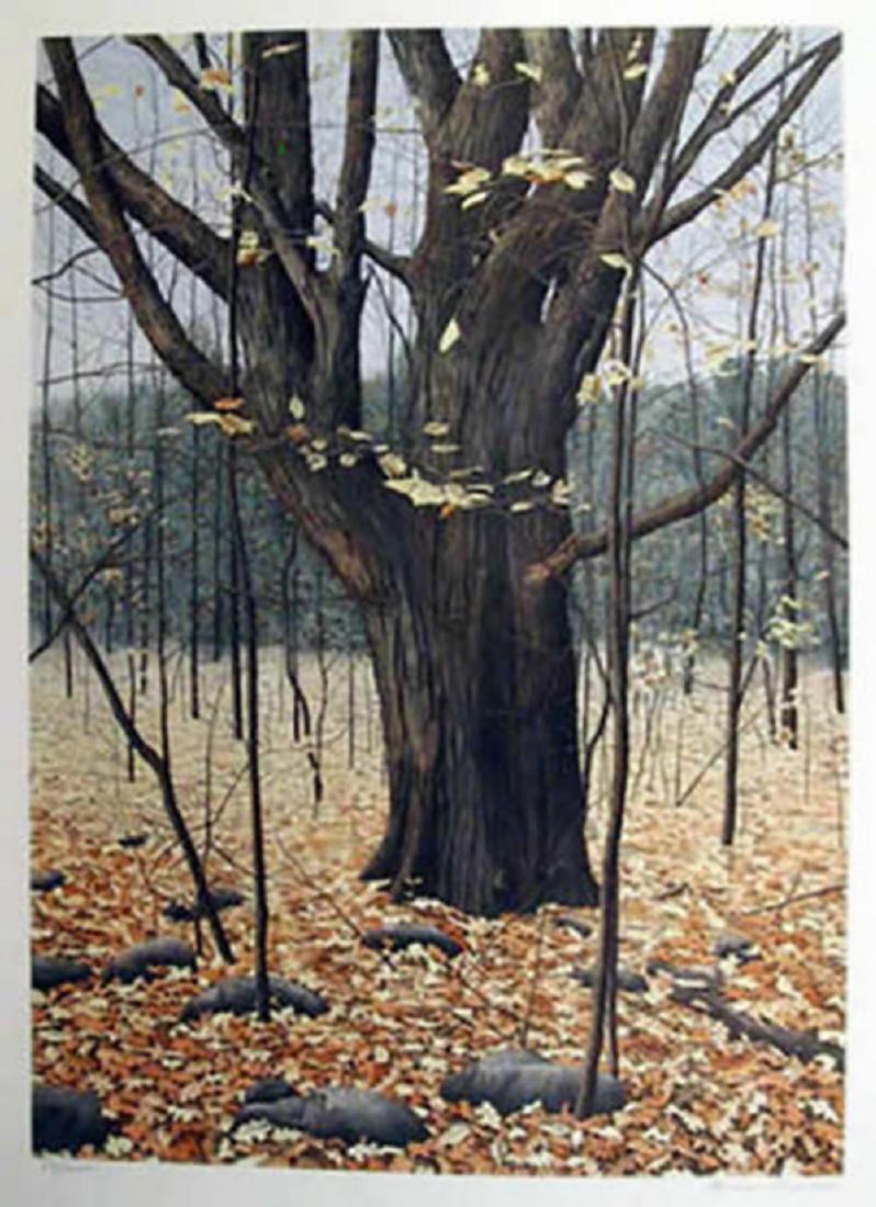 Helen Rundell Hand Signed /# Lithograph "Old Oak" (1 of 1)