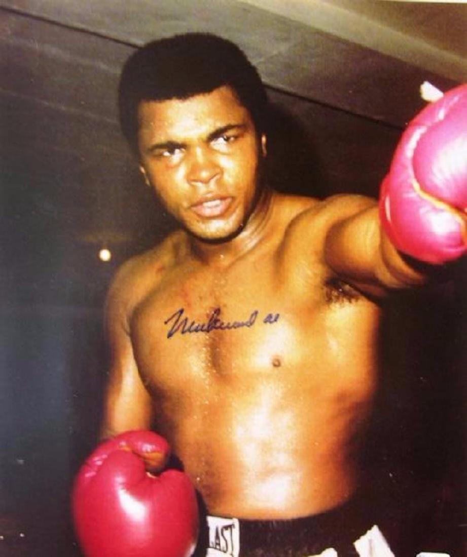 memorabilia Muhammad Ali Autographed 8x10 Color: Ali Muhammad Ali Autographed 8x10 Color