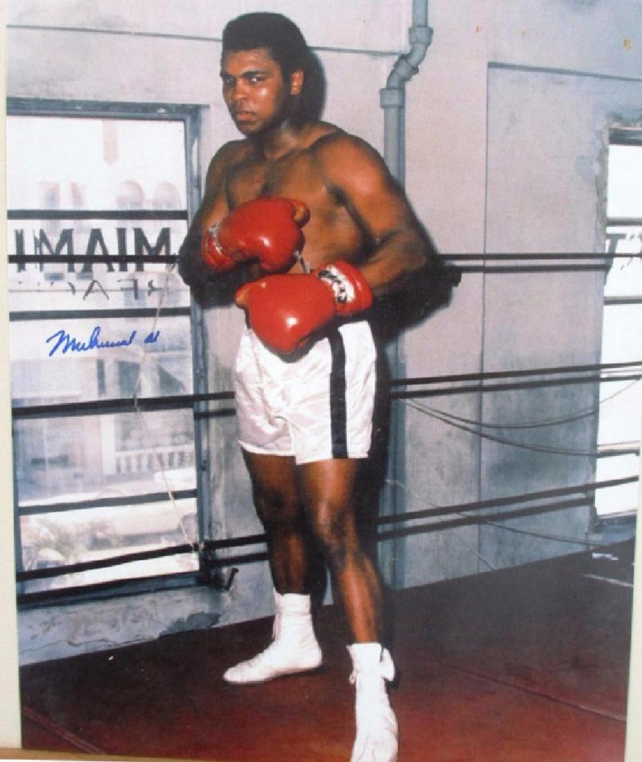 memorabilia Muhammad Ali Autographed Signed 8x10 Photo: Muhammad Ali Autographed Signed 8x10 Photo