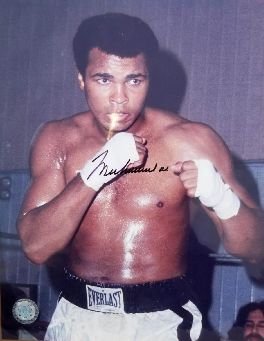 MUHAMMAD ALI 8" x 10" Autographed Photo GFA coa: MUHAMMAD ALI 8" x 10" Autographed Photo GFA coa