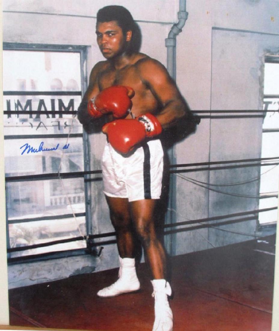 memorabilia Muhammad Ali Autographed Signed 8x10 Photo: Muhammad Ali Autographed Signed 8x10 Photo