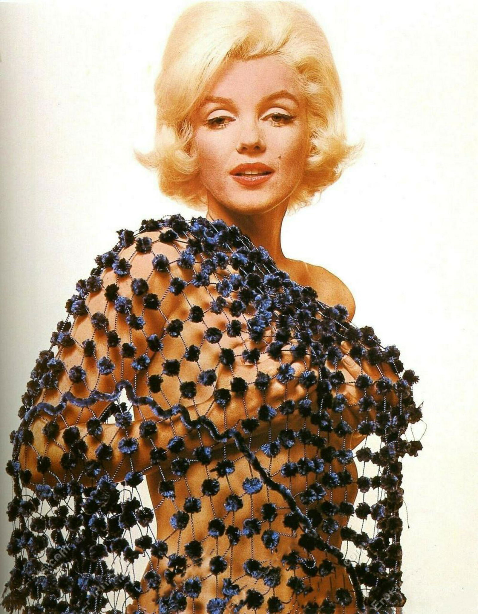 BERT STERN, The Last Sitting 8x10 framed photo: BERT STERN, The Last Sitting 8x10 inch photo.The piece comes framed in a new frame retail for $100.00 to $200.00. Metallic Finish Photo Print Size 8x10 Printed in a Professional Photo Lab. Bright, dur