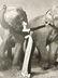 Richard Avedon, Dovima with the elephants, Dior, Cirque