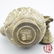 Chinese Antique Brass Wine Pot With Dragon & Phoenix - 7