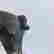 item-56018843=3