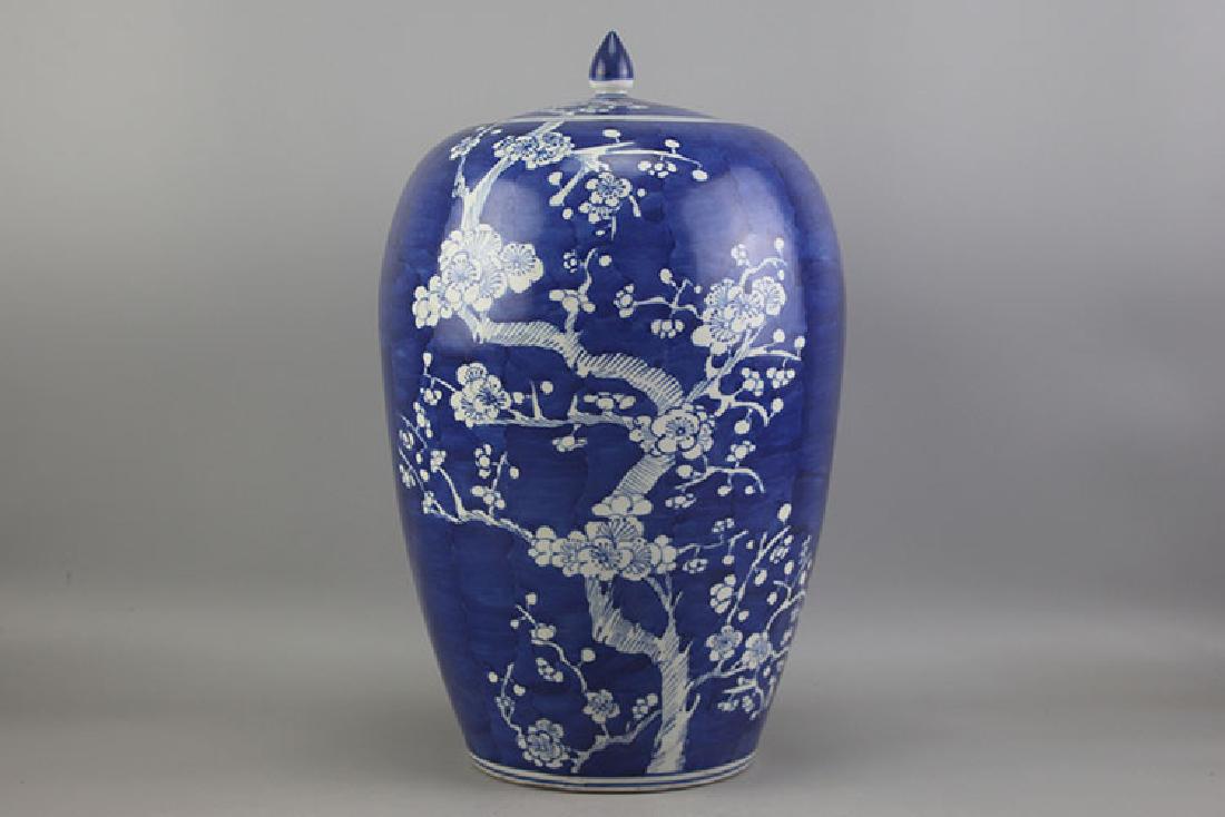 Chinese Qing Dynasty Guangxu Time Blue & White Glazed (1 of 7)