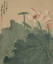 Lotus painting by Zhang Da Qian