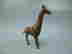 item-130053355=6