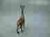 item-130053355=8