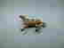 item-130053355=9