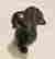 item-130053359=3