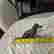 item-130053362=5