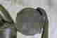 item-135932230=9