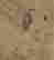 item-135932577=3