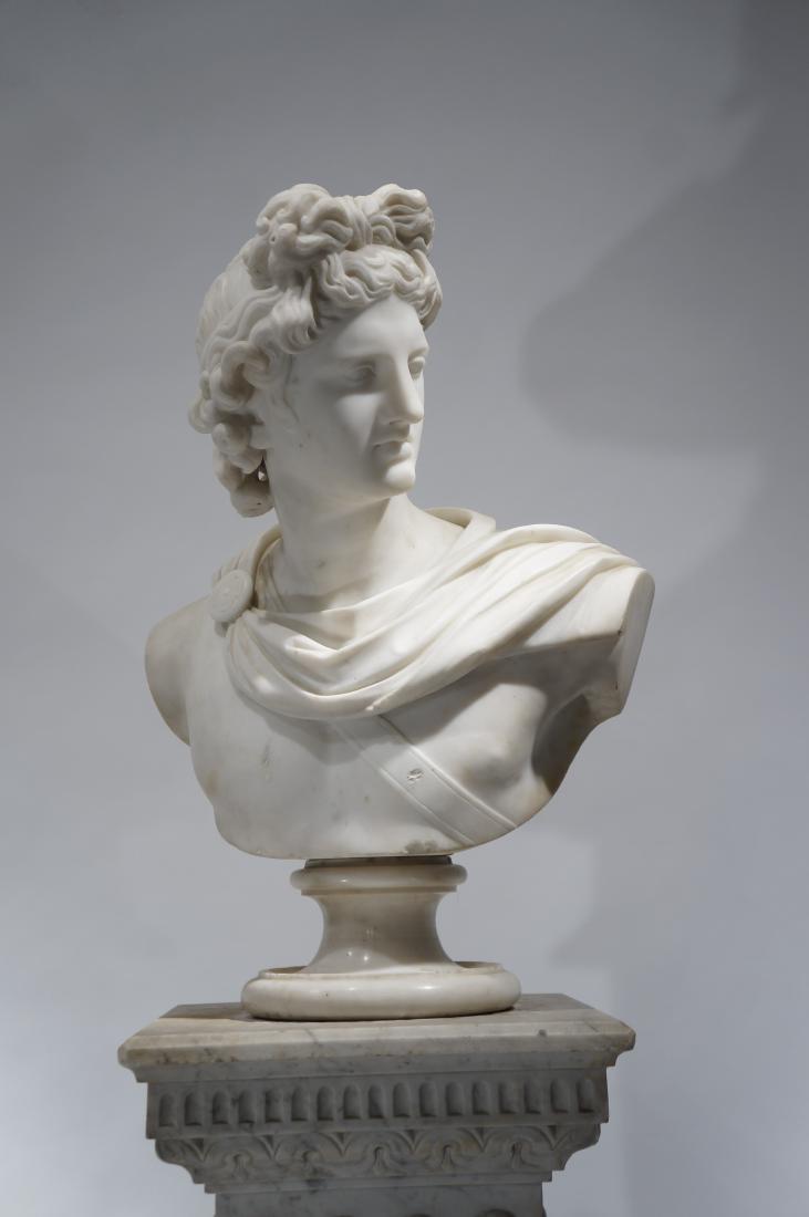 Italian School, Marble Bust of Apollo (1 of 1)