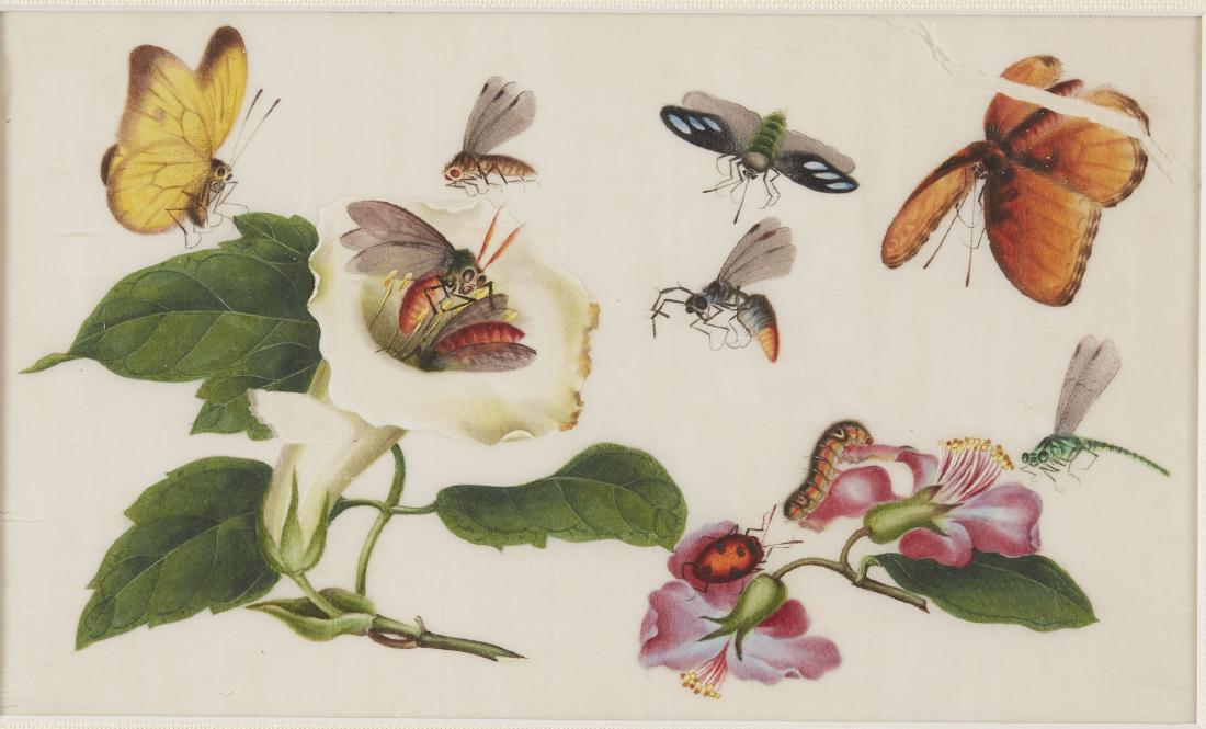 Pair of 19th Century Chinese Pith Paper Paintings (1 of 3)