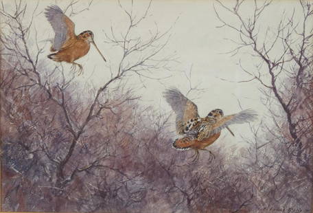 Aiden Lassell Ripley Watercolor Painting of Woodcocks: Aiden Lassel Ripley (1896-1969). Wildlife watercolor on paper titled "Two Woodcock" depicting two woodcock birds flying amongst branches. Signed and dated 1941 along the lower right. The Sporting Gall