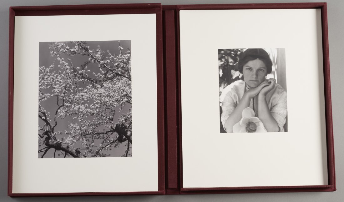 Steichen Blue Sky: 12 Photographs Portfolio (1 of 6)