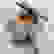 item-73148407=3