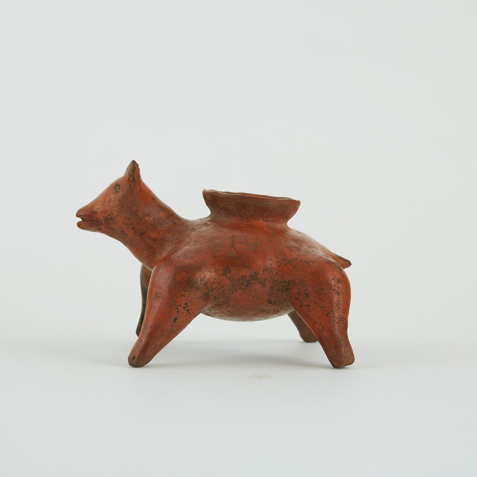 Pre-Columbian Nayarit Ceramic Dog Vessel (1 of 6)