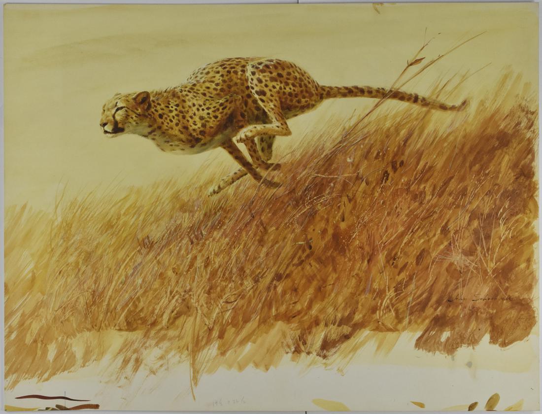John Schoenherr Cheetah Gouache on Paperboard Ill (1 of 2)