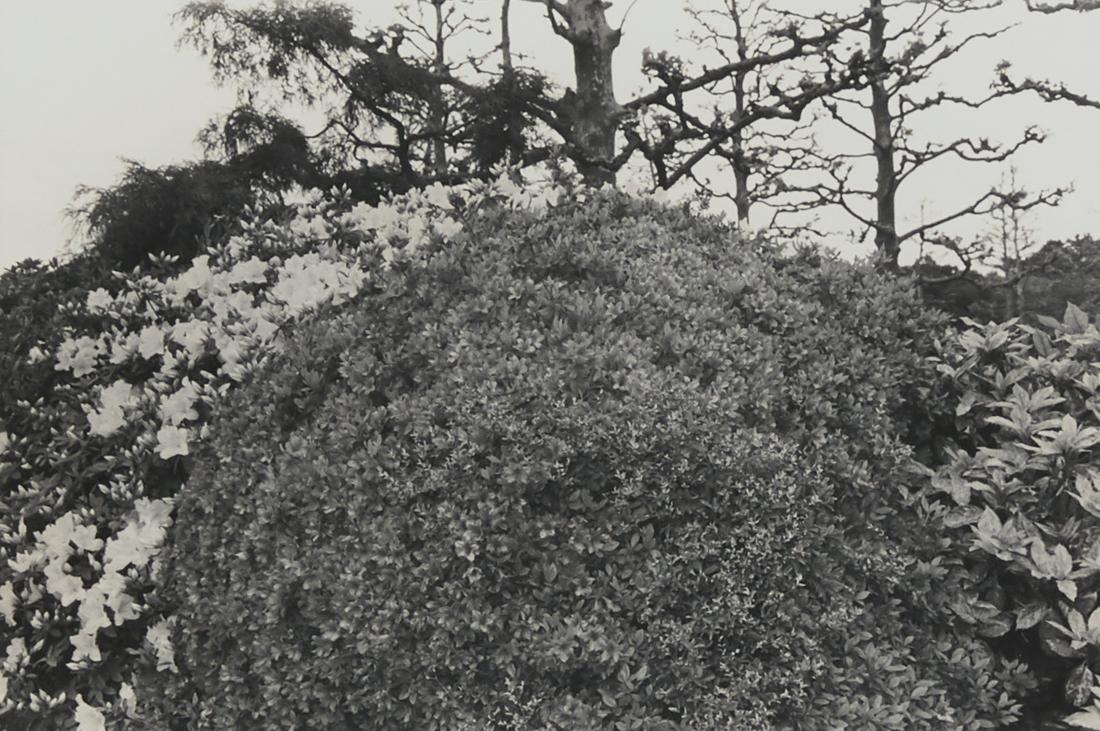 Lee Friedlander "Tokyo" Photograph: Lee Friedlander (b. 1934). Photograph titled "Tokyo," depicting a Tokyo landscape. Silver gelatin print. Provenance: Distinguished corporate collection, Minnesota.Sight; height: 7 3/4 in x w